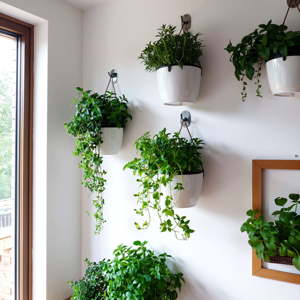 How to Make a Vertical Herb Garden for Your Kitchen 1 Different vertical herb garden setups in a kitchen